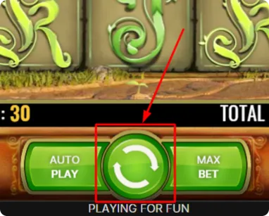 Playing the Game