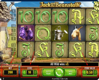 Setting Your Bet