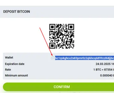 Copy deposit wallet